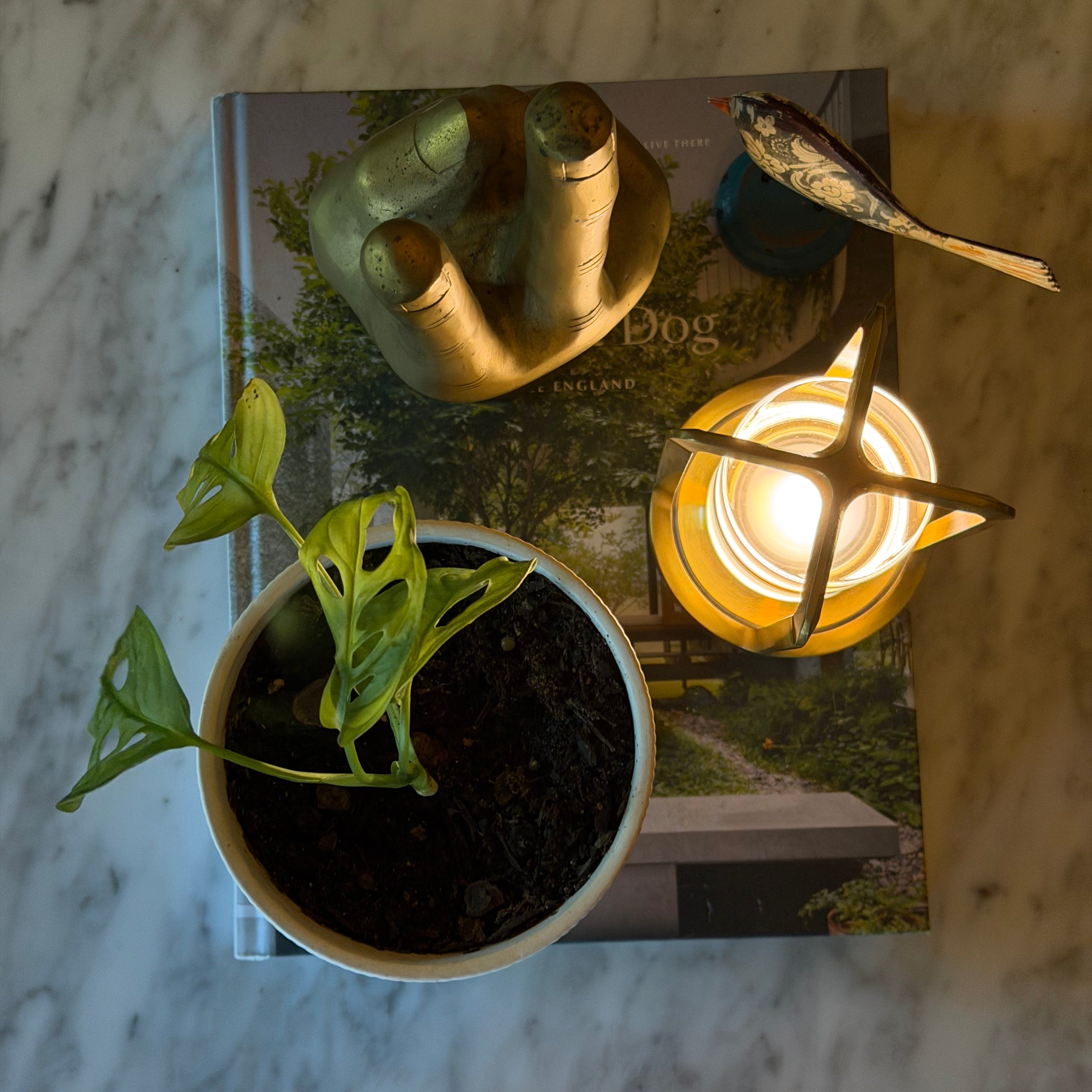 Gold cordless, rechargeable lantern table light sitting on a book, with a plant and gold hand ornament and a timber painted bird.   Is rechargeable via USB-C and a portable lamp